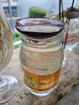 Image de #12 : Oignon rouge