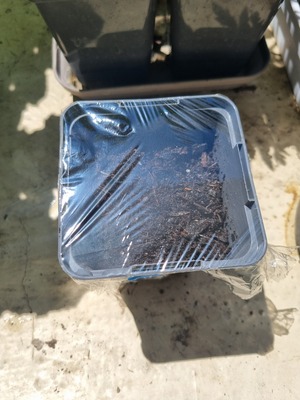 Image de #17 : Aubergine